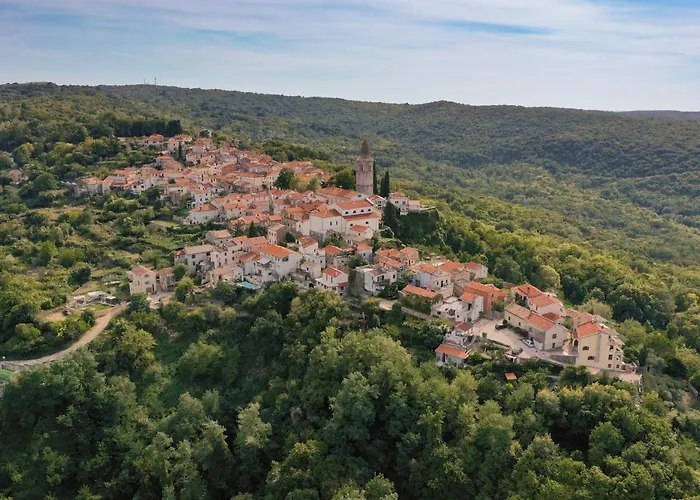 The Old Town House Vikendica